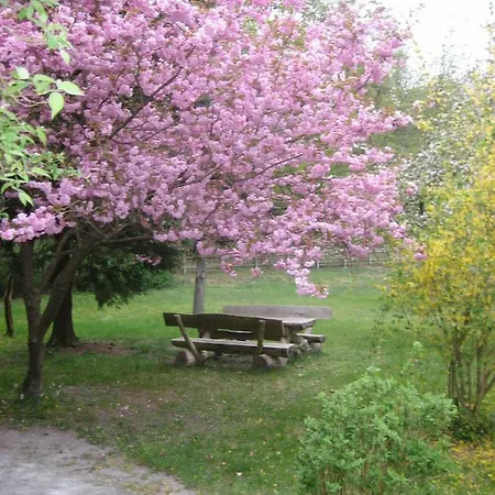 Διαμέρισμα Ostseewald